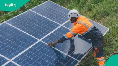 FG Opens Free Solar Installation Training Applications for Nigerians
