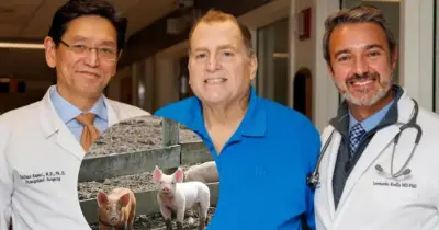 Genetically modified pig kidney works in US man for record 271 days
