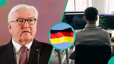 Germany Explains 7 Steps to Successfully Apply to a German IT Company