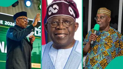 How Tinubu, Atiku, and Peter Obi Say They Built Their Wealth