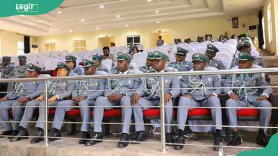 Kano Customs Seizes 48 Endangered Animals in Record Wildlife Bust