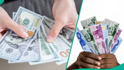 Naira falls to N1,329.21/$ as FX demand rises, CBN data shows