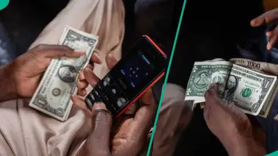 Naira Forecast to Hit N1,290 per Dollar by December 2026