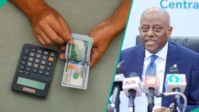 Naira Gains N1 Against Dollar as CBN Injects $151m Into FX Market
