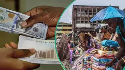 Naira Hits N1,315/$ Strongest Level Since April 2024