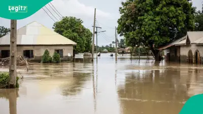 Nigeria Flood Alert: FG Names 24 States, FCT at Risk for Two-Week Window