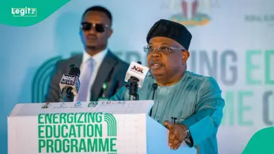 Nigeria Power Minister: Freezers Now Freezing as Supply Improves