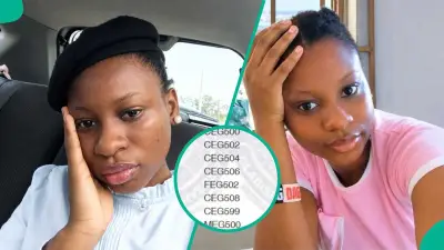 Nigerian Civil Engineering Graduate Shares Final Semester Result Online