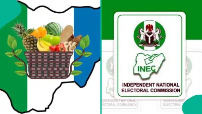 NNPP Crisis Deepens as INEC Drops Presidential Candidate from Final List
