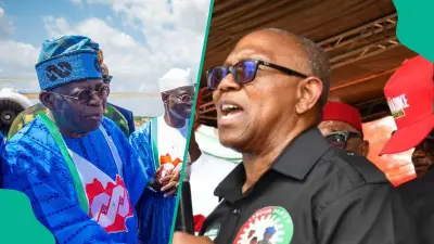 Presidency fires back as Peter Obi questions Tinubu's UNGA absence