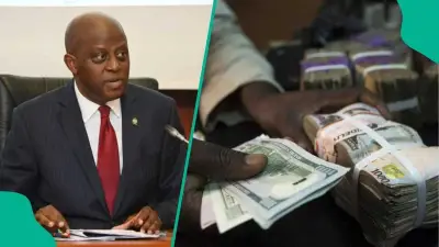Private Sector Credit Drops N10.3trn in 7 Months, CBN Data Shows