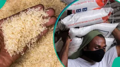 Rice Prices Drop ₦15,000 Per 50kg Bag as New Rates Emerge Across Nigeria