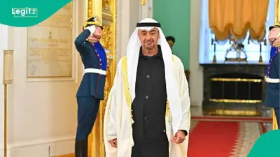 UAE Freelancer Green Visa: 5-Year Residency Requirements Announced