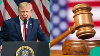 US DOJ releases list of over 60 immigration lawyers barred, suspended