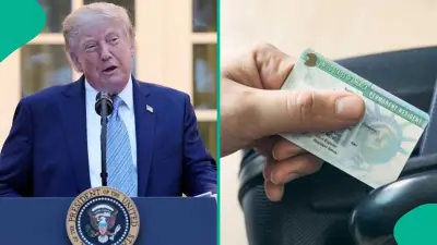 US Lists 3 Conditions for Foreign Professionals to Get Green Card Without Job Offer