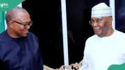 2027: Utomi to Lead Secret Talks With Atiku, Obi, 6 Others on Single Candidate