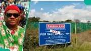 Abuja vs Lagos Land Prices: Cheapest Plots from N3.5m