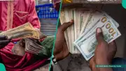 CBN Releases Updated Dollar, Pound, Euro Exchange Rates for Sept 24