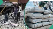 Dangote, BUA Cement Prices in Lagos, Abuja, Kano, Ibadan: 50kg Bag Costs Above ₦11,000
