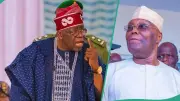 Diaspora Group Slams Atiku Over Anti-Tinubu Washington Lobbying Campaign