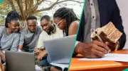 FG Opens N50m Student Venture Capital Grant Applications for 50 STEM Businesses