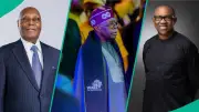 G-100 Proposes 4-Year Single Term to Unite Opposition Against Tinubu