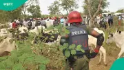 Kaduna MACBAN: 50 Members Killed, 200,000 Cows Lost Since January