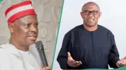 Kwankwaso Slams Attack on Peter Obi's Convoy in Benue, Demands Action