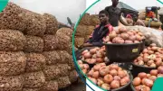 Lagos Onion Prices Surge 233% as Shortages and Transport Costs Bite