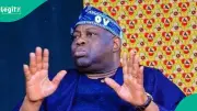 Momodu Defends Detained El-Rufai's ADC Campaign Appointment