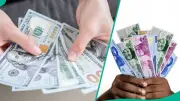Naira falls to N1,329.21/$ as FX demand rises, CBN data shows