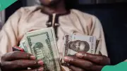 Naira Falls to N1,331.32/$ at NAFEM as FX Turnover Plunges 77.7%