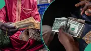 Naira Weakens as FX Turnover Drops 30% to $2.37B