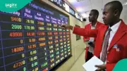 NGX Hits All-Time High as Investors Gain N374bn