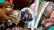 Nigerian Banks' Cash Liquidity Surges to N5.53 Trillion in May 2026