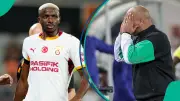 Osimhen Injury Worry for Chelle Ahead of AFCON Qualifiers