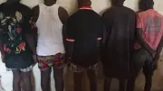 Police arrest five Shilla boys terrorising Yola community