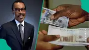 Rewane: Naira to Depreciate After CBN 23% Rate Cut, But Less Than Feared