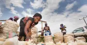 Rubber, detergent: Why Lagos residents no longer trust fufu sold in city