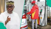 SDP Candidate Adewole Adebayo Vows to Cut Petrol Price to N200