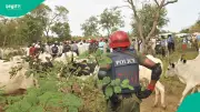 Three Herders Killed in Plateau State Buried in Mangu Amid Tears, 50 Cattle Lost