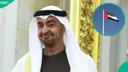 UAE: 4 Conditions for Artists to Qualify for Golden Residency