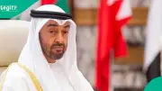 UAE Lists 7 Official Job Portals for Foreigners Seeking Employment