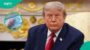 US Publishes DV-2026 Green Card Lottery Figures and Winner Steps