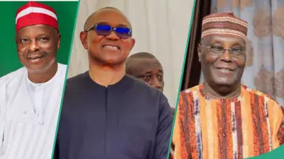 2027: NDC's Kwankwaso Rules Out Stepping Down for ADC, Atiku