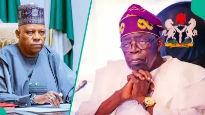 2027: Shettima Fears APC Internal Divisions More Than PDP, Obi