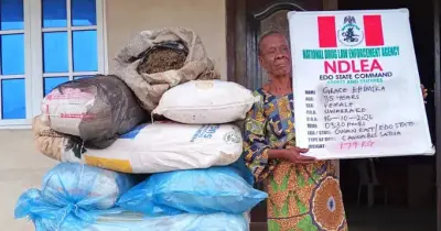 85-Year-Old Widow Arrested with 179kg Cannabis in Edo Over Survival