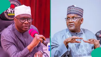 Adamawa Governor Plans Dangote Refinery Shares for 52,000 Workers