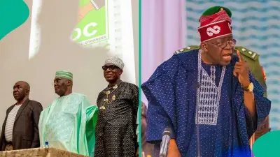 ADC Rejects Economist Forecast Predicting Tinubu's 2027 Re-election