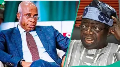 Amaechi: Only Mad People Can Vote for Tinubu in 2027